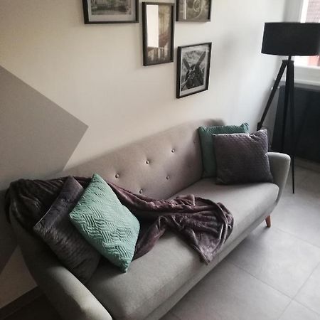 コルマールLa Casa D'Ernestineアパートメント エクステリア 写真